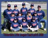 timberlake little league